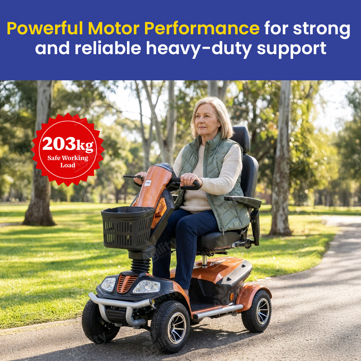 Everest Mobility Scooter – All-Terrain Scooter with 1000W Motor, 49km Range & 203kg Capacity