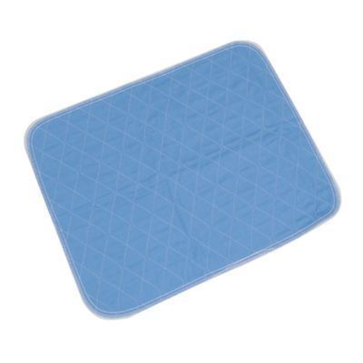 Chair Pad (Blue)