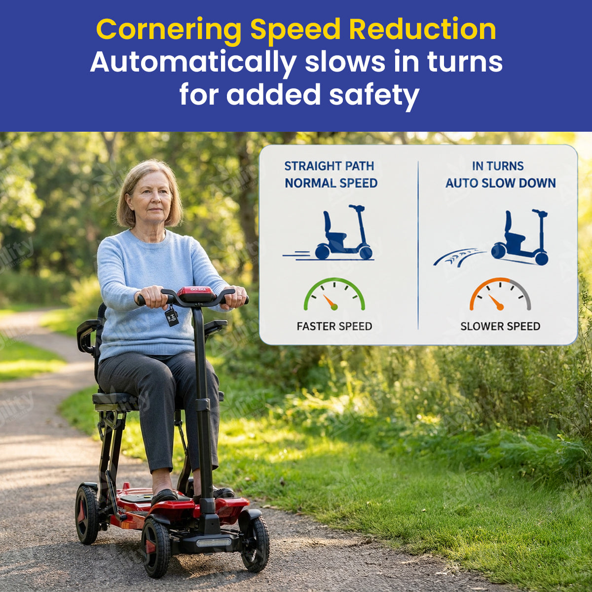Go Lite Pro Mobility Scooter