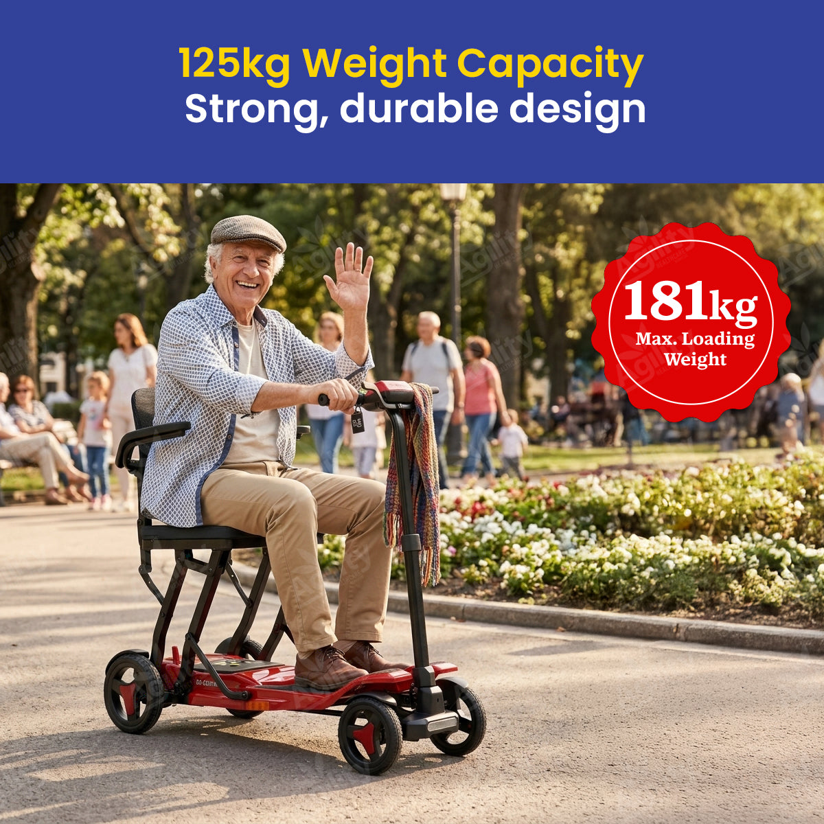 Go Lite Pro Mobility Scooter